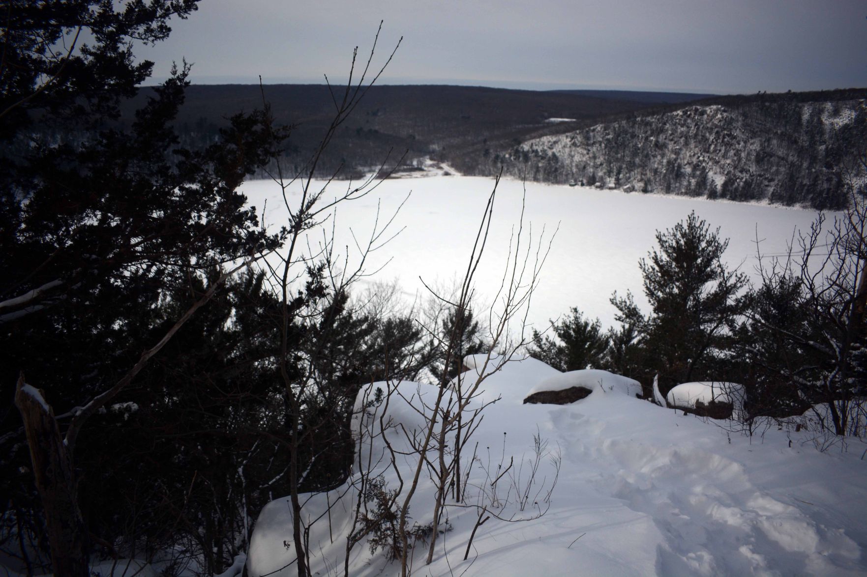 Devil's Lake east bluff stewardship work